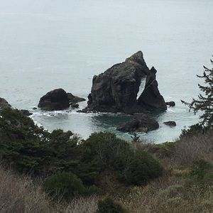 Meet your Posher, Charley